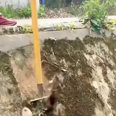 media 34002